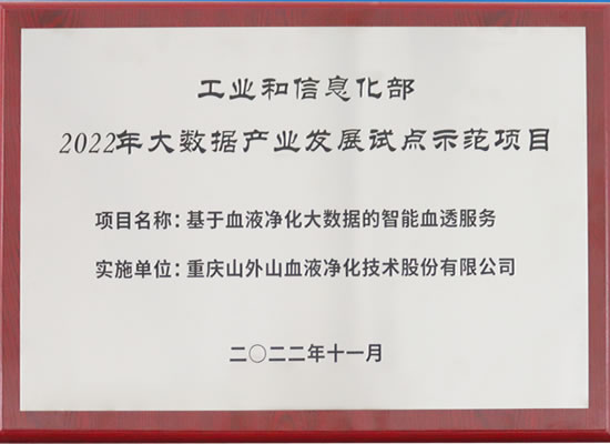 行业唯一！山外山公司入选“2022年大数据产业发展试点示范项目”
